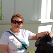  ,   , 53 ,   ,   