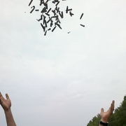 ���������� ������, ���� ������� Dmitriy, 34 ����, ������������ 