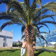 ���������� ������, ���� ������� Alexander, 36 ���, ������������ ��� ������, ����� � ���������