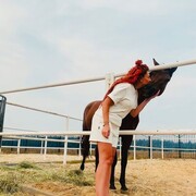 ���������� �������, ���� ������� Catalina, 34 ����, ������������ ��� ������, ���������