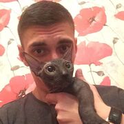 ���������� �����, ���� ������� ����, 29 ���, ������������ ��� ������, ����� � ���������