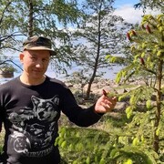 ���������� �����-���������, ���� ������� �����, 50 ���, ������������ ��� ������, ����� � ���������