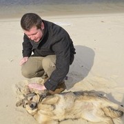 ���������� ���������, ���� ������� ������, 37 ���, ������������ ��� ������, ����� � ���������, c�������� ���������