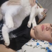 ,    , 23 ,   ,   