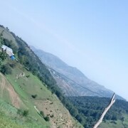 ���������� �����������, ���� ������� �����, 41 ���, ������������ ��� ������