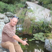 ���������� ���������, ���� ������� ���������, 55 ���, ������������ ��� c�������� ���������