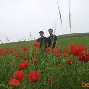  ,   Doston, 34 ,   ,   , c 