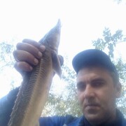 ���������� �������, ���� ������� ���������, 45 ���, ������������ ��� ����� � ���������, c�������� ���������