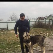  ,   , 35 ,   ,   