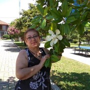   ,   , 65 ,   c 