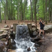 ���������� �����, ���� ������� �������, 39 ���, ������������ ��� ������, ����� � ���������