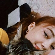 ���������� ������, ���� ������� ������, 24 ����, ������������ ��� ������, ����� � ���������