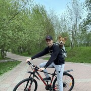 ���������� ������, ���� ������� �������, 33 ����, ������������ ��� ������, ����� � ���������, c�������� ���������, ���������