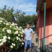  ,   , 43 ,   
