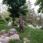 ���������� �������, ���� ������� �������, 52 ����, ������������ ��� c�������� ���������