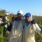  ,   Ali, 34 ,   