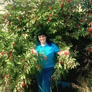 ���������� ������, ���� ������� Motrena, 59 ���, ������������ ��� ����� � ���������