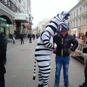 ���������� ���������, ���� ������� �����, 46 ���, ������������ ��� ������, ���������