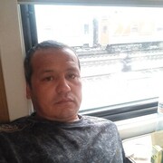 ,   Nasimii, 48 ,   ,   