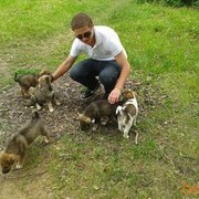 ���������� ������, ���� ������� ������, 35 ���, ������������ 