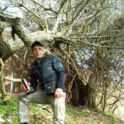  ,   , 37 ,   ,   , 