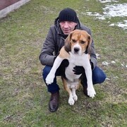  ,   Denis, 44 ,   ,   , c 