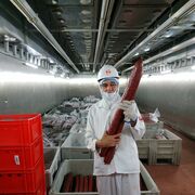 ���������� �����, ���� ������� �������, 56 ���, ������������ ��� c�������� ���������