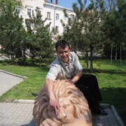  ,   , 49 ,   