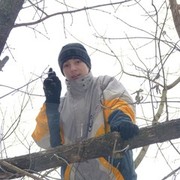 ,   , 31 ,   