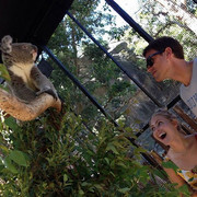 ���������� �������, ���� ������� Gio gio, 38 ���, ������������ ��� ������