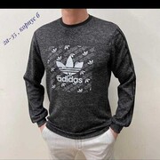 ���������� ������, ���� ������� ������, 41 ���, ������������ ��� ������, ����� � ���������, c�������� ���������, ���������