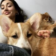 ���������� ������, ���� ������� �����, 32 ����, ������������ ��� ������, ����� � ���������