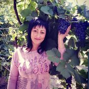 ���������� �����-���������, ���� ������� �������, 45 ���, ������������ ��� ������, ����� � ���������