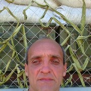 ���������� �����������, ������� �����, 55