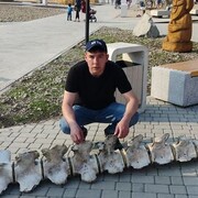 ���������� �������, ���� ������� ��������, 41 ���, ������������ ��� ������, ����� � ���������, c�������� ���������, ���������