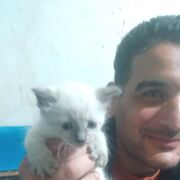  ,   , 38 ,   ,   , c , 