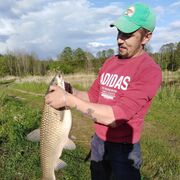 ���������� �������, ���� ������� ���������, 34 ����, ������������ ��� ������, ����� � ���������, c�������� ���������