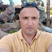  -,   , 46 ,   ,   