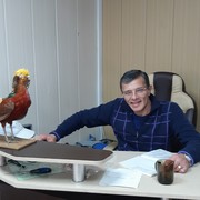  ,   , 51 ,   ,   , c 