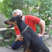  ,    , 62 ,   ,   , c 