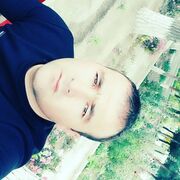  ,   Temur, 31 ,     , c 