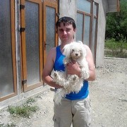  ,   MIGEL, 37 ,     , c 
