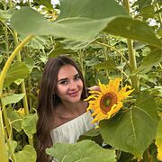 ���������� ���������, ������