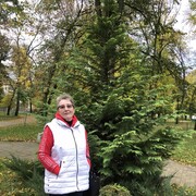 ���������� �����, ���� ������� ���������, 66 ���, ������������ ��� c�������� ���������