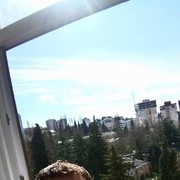 ���������� ����, ���� ������� Erik, 33 ����, ������������ ��� ����� � ���������, c�������� ���������