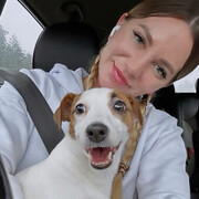 ���������� �����-���������, ���� ������� �����, 37 ���, ������������ ��� ������, ����� � ���������, c�������� ���������, ���������