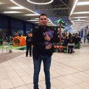  ,   , 29 ,   