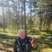  ,   , 43 ,   ,   