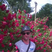 ���������� ��������, ������� ����, 44