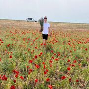 ���������� ������, ���� ������� �����, 52 ����, ������������ ��� ������, ����� � ���������